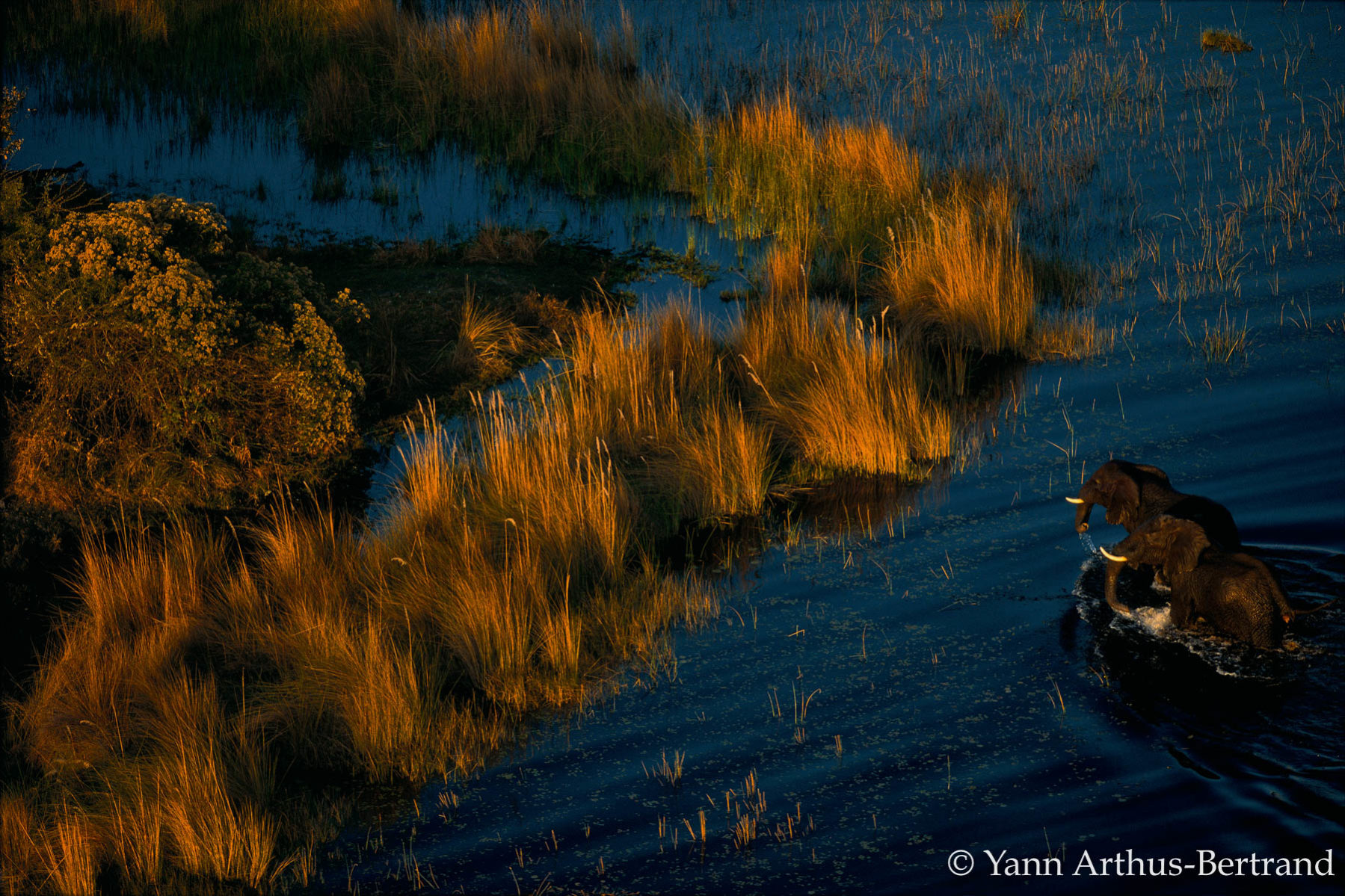 photo de paysage