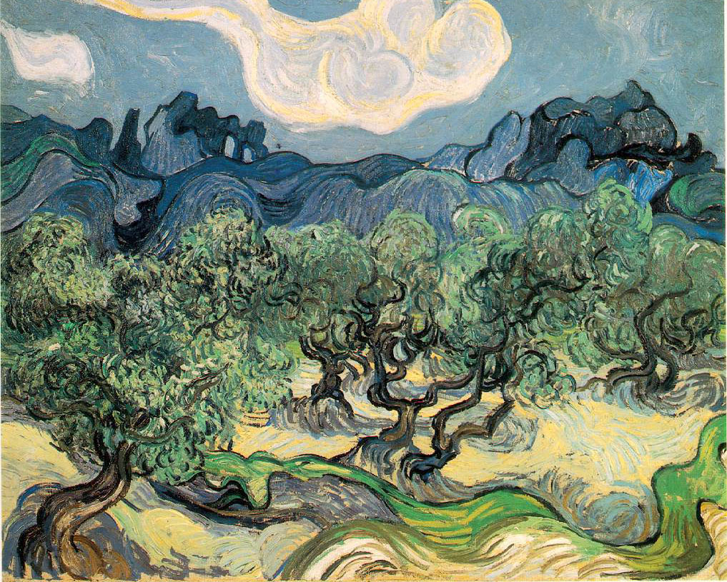 Oliviers avec les Alpilles dans le fond
