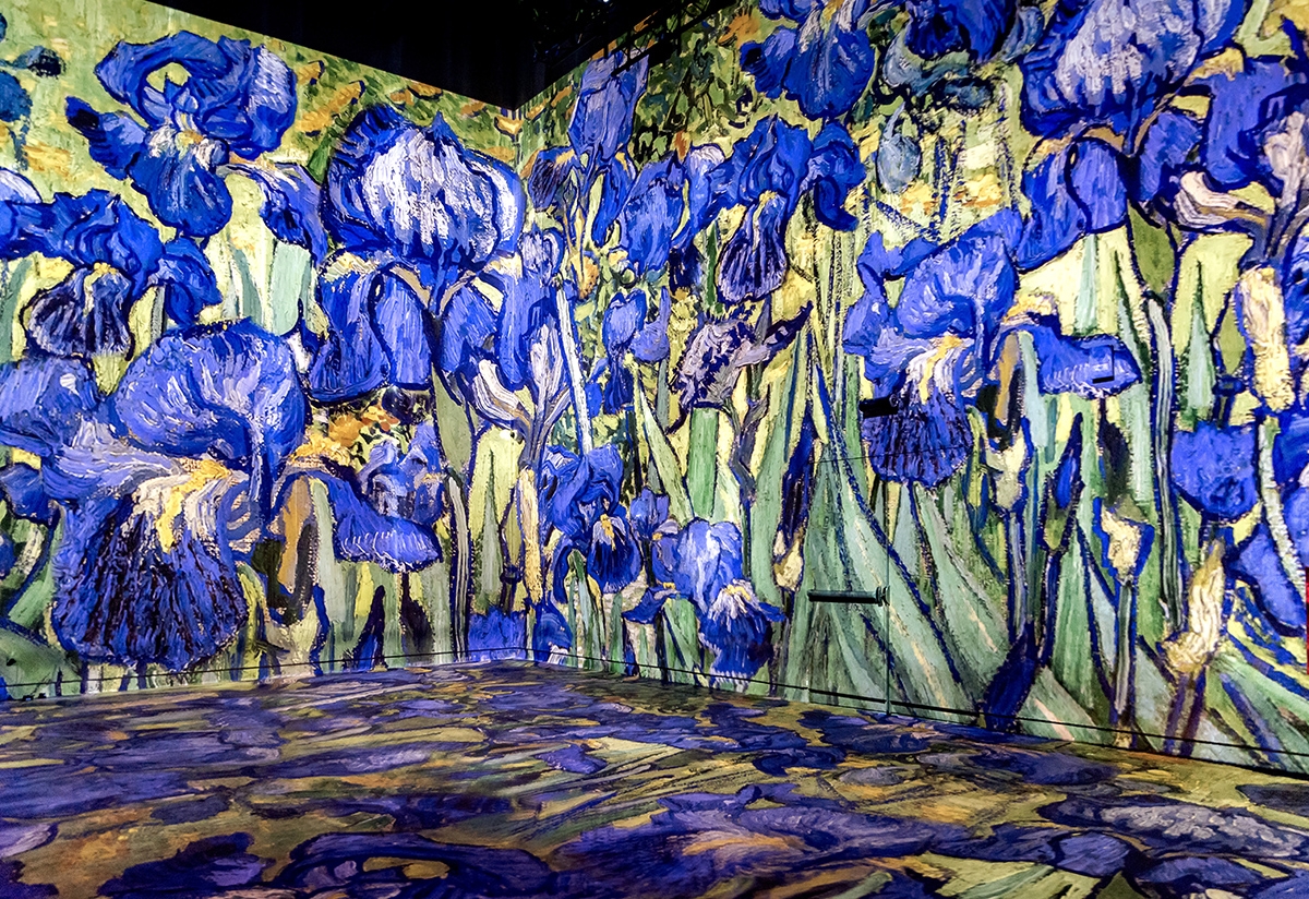 La nuit étoilée